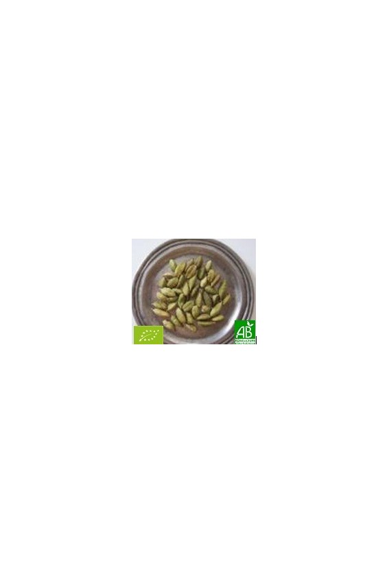 Cardamome graines entères 35g Bio*