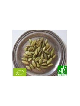 Cardamome graines entères 35g Bio*