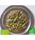 Cardamome graines entères 35g Bio*