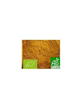 Curry indien mélange 50g Bio*